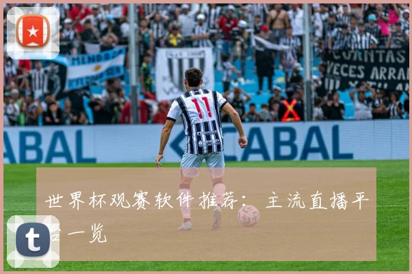 世界杯观赛软件推荐：主流直播平台一览