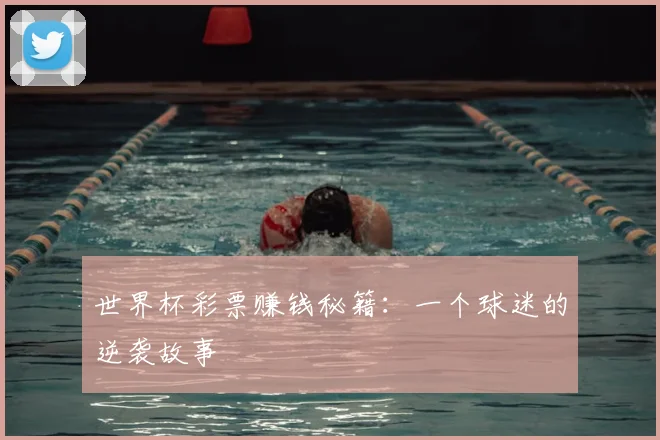 世界杯彩票赚钱秘籍：一个球迷的逆袭故事