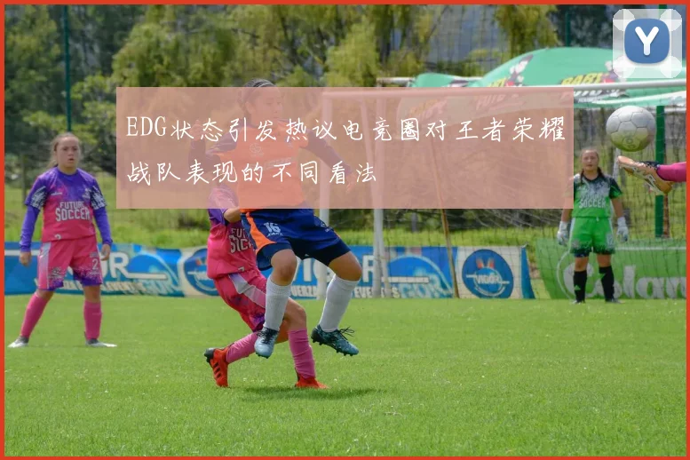 EDG状态引发热议电竞圈对王者荣耀战队表现的不同看法