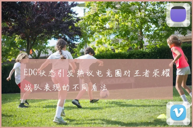 EDG状态引发热议电竞圈对王者荣耀战队表现的不同看法