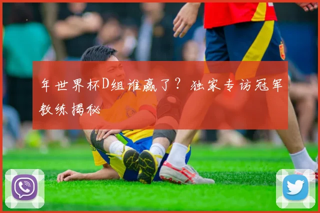年世界杯D组谁赢了？独家专访冠军教练揭秘