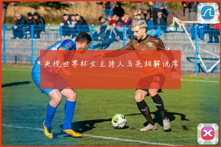 央视世界杯女主持人马亮相解说席