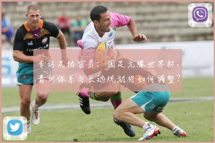 专访足协官员:国足无缘世界杯,青训体系与长远规划将如何调整?