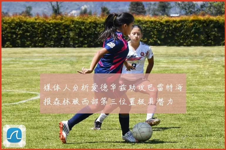 媒体人分析爱德华兹助攻巴雷特海报森林狼西部第三位置极具潜力