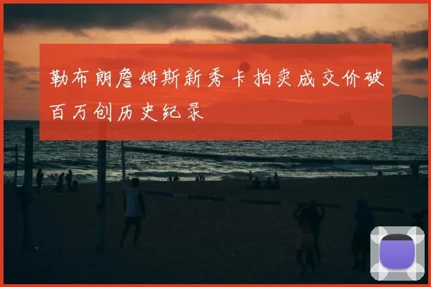 勒布朗詹姆斯新秀卡拍卖成交价破百万创历史纪录