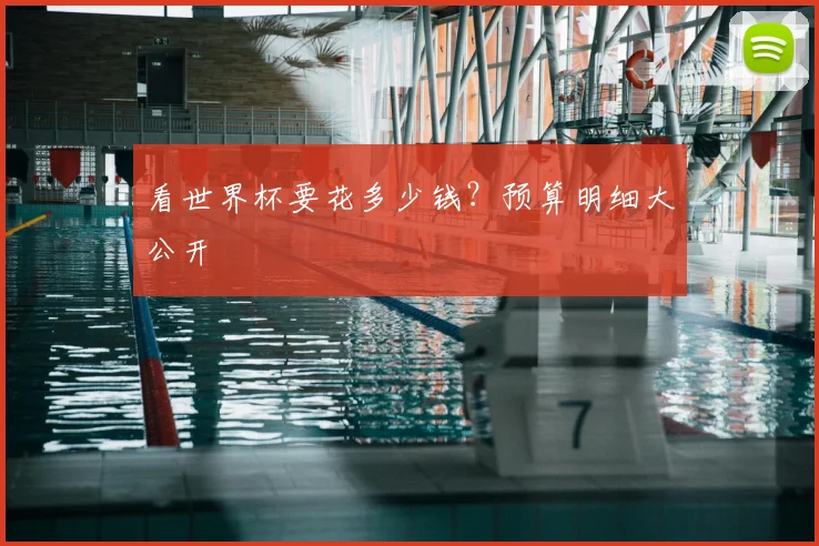 看世界杯要花多少钱？预算明细大公开